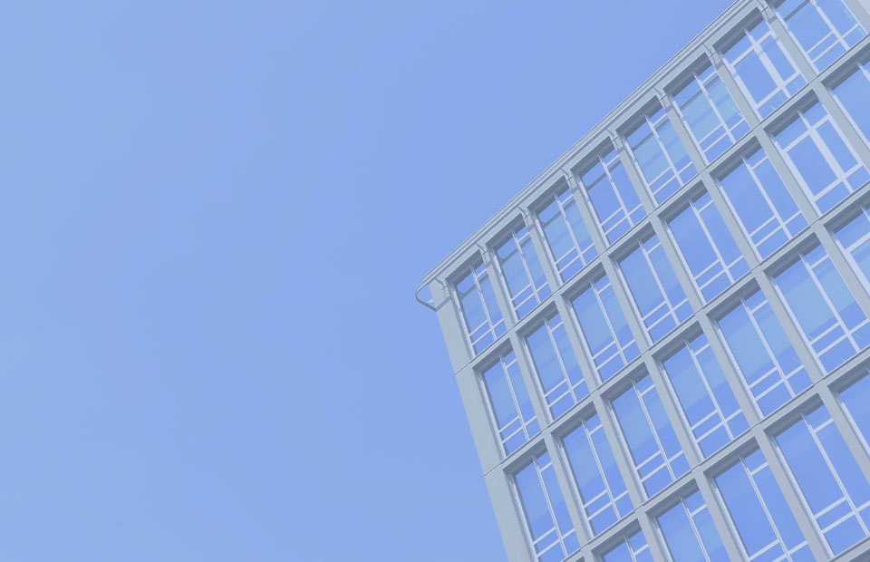 优发国际|随优而动一触即发的经营理念